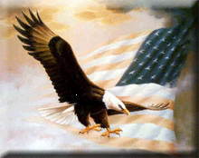 0_flageagle1d.gif