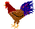 chicken.gif