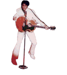 elvis.gif