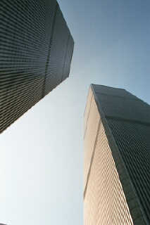 lookingup.jpg