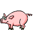 pigg.gif